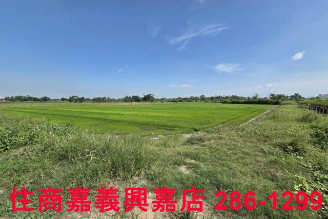 嘉義西區農地-6