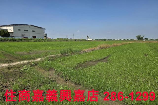 嘉義西區農地-8