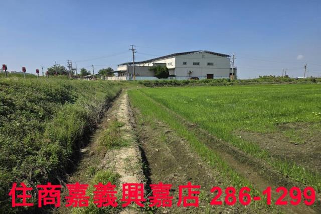 嘉義西區農地-9