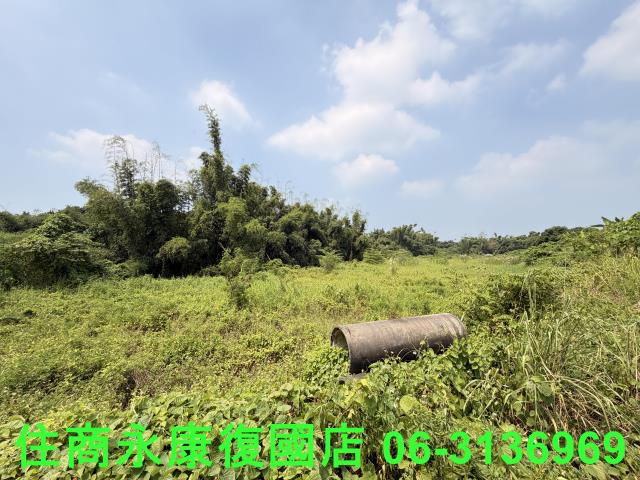 台南歸仁農地-3