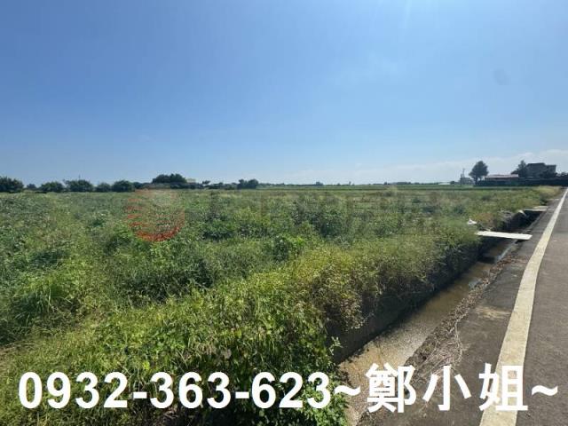 桃園觀音農地-11