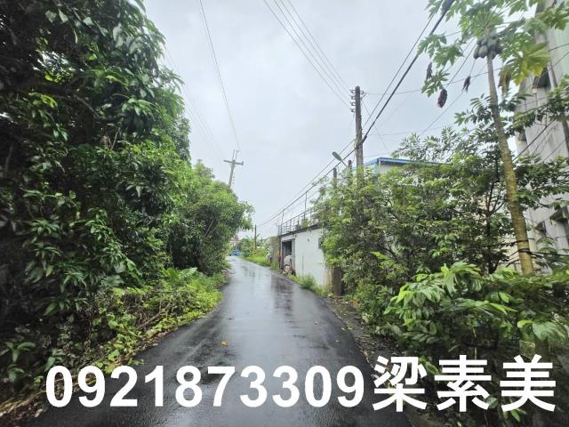 左鎮建地-4