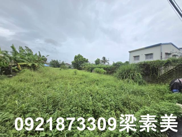 左鎮建地-6