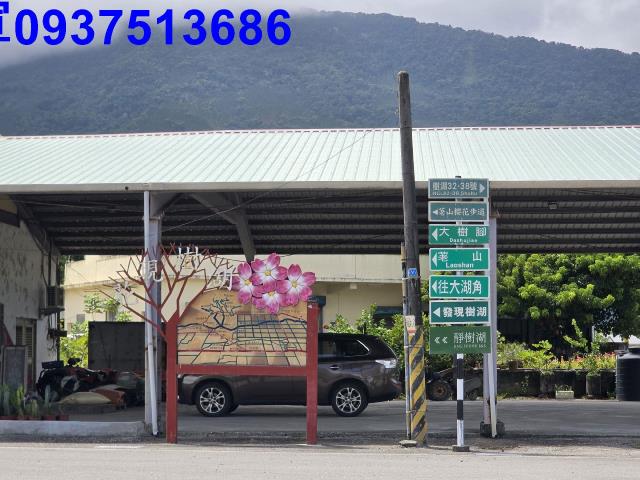 壽豐林地-12