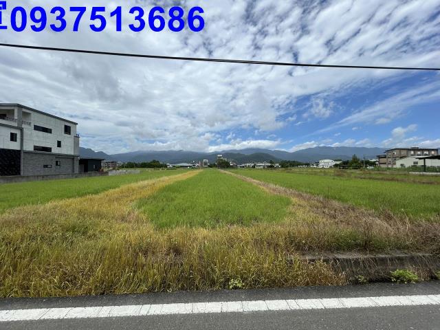 員山農地-13