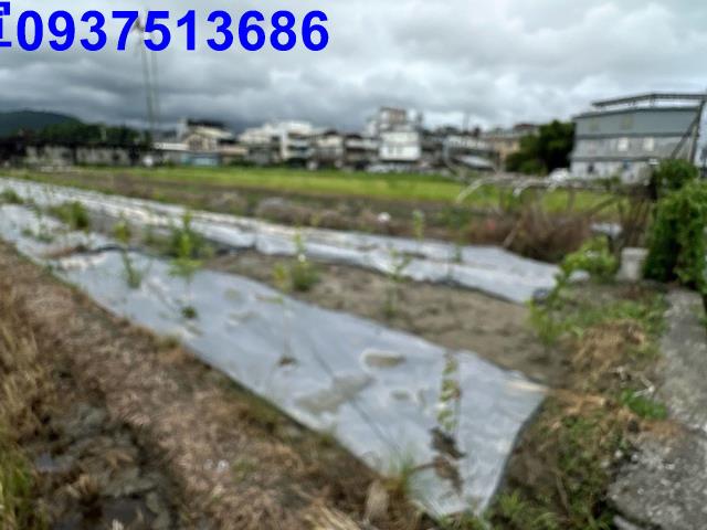 員山農地-13