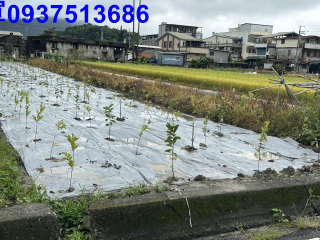 員山農地-4
