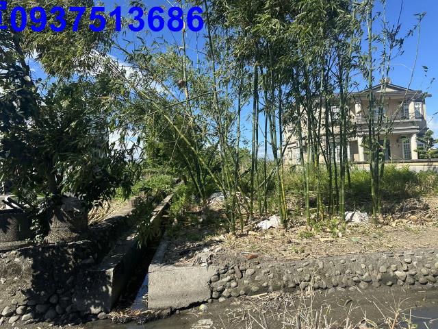 壯圍農地-8