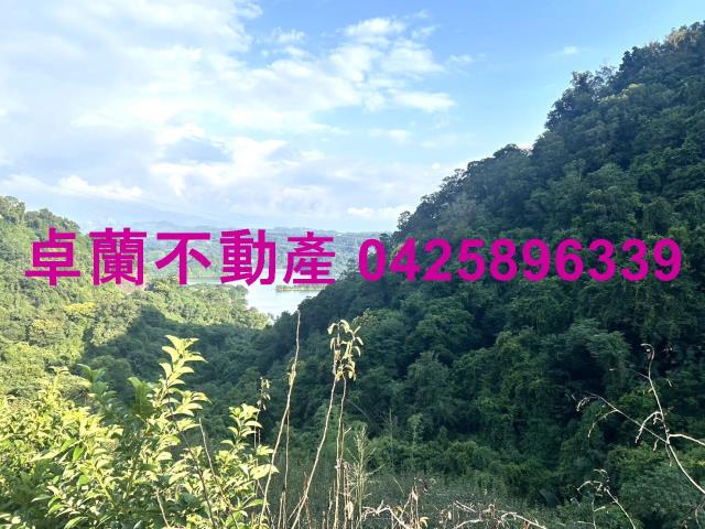 苗栗大湖山坡地-11
