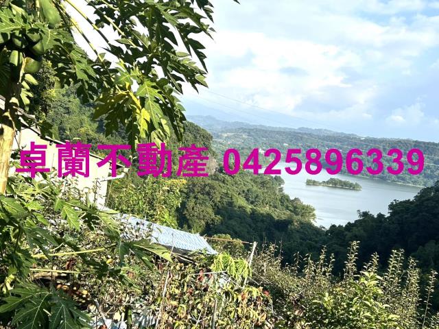 苗栗大湖山坡地-2