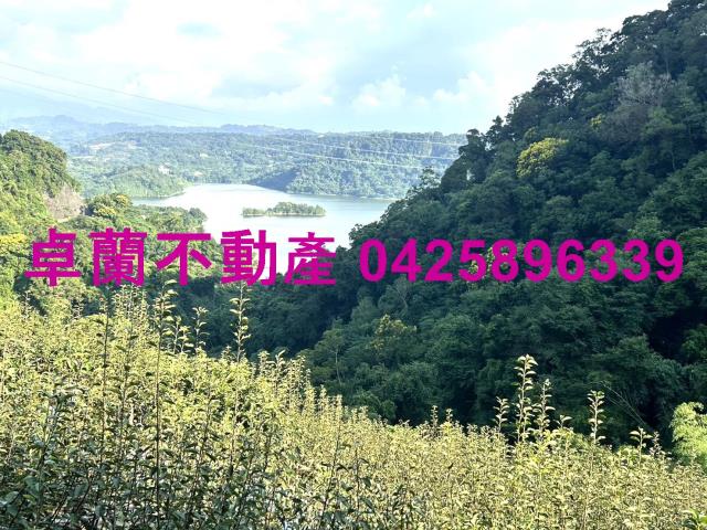 苗栗大湖山坡地-3