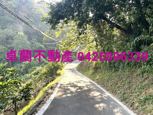 苗栗大湖山坡地-4
