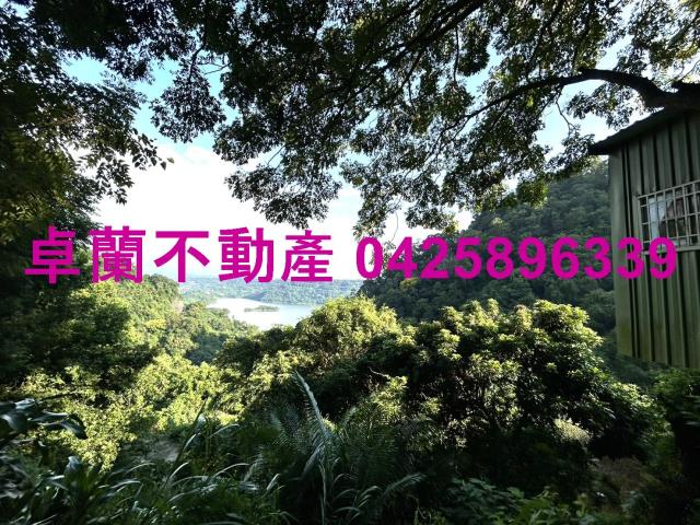 苗栗大湖山坡地-6