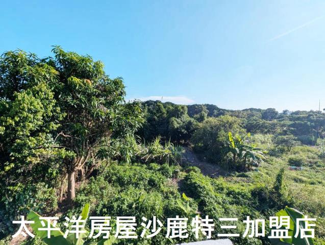 台中沙鹿建地-5