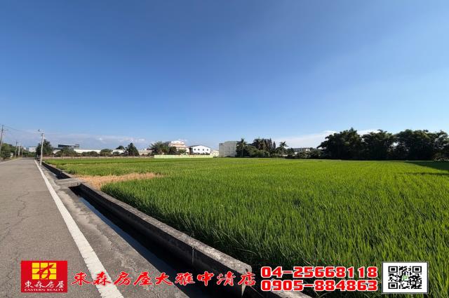台中神岡農地-3