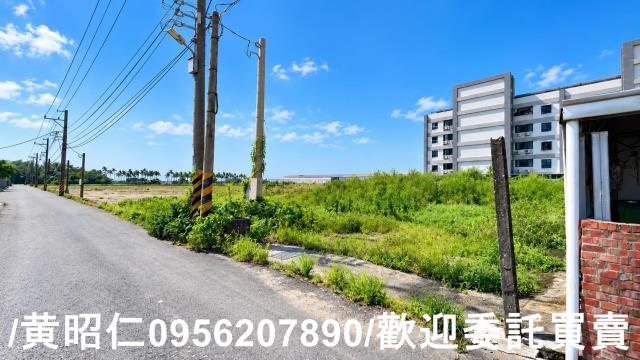台南西港建地-6