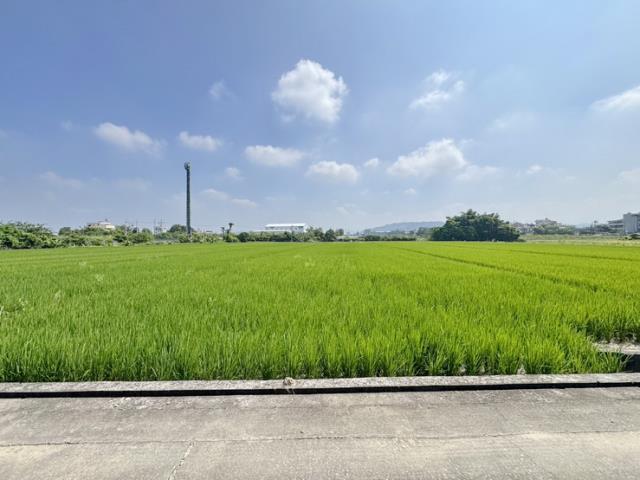 草屯農地-0