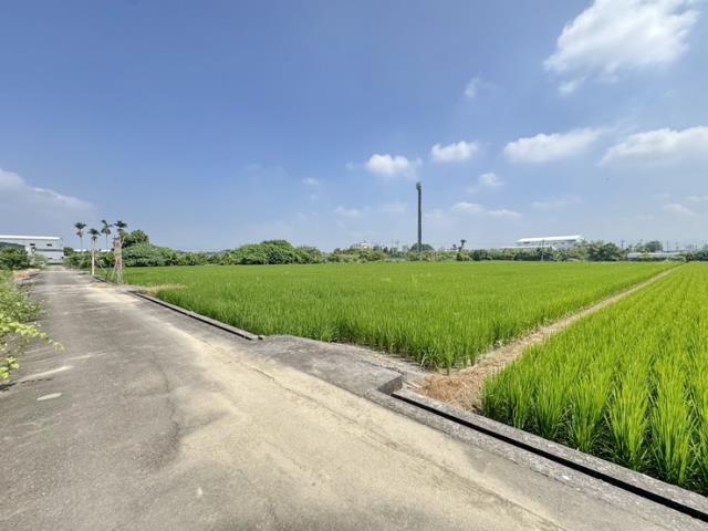 草屯農地-1