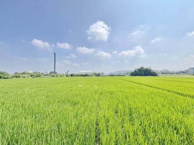 草屯農地-2