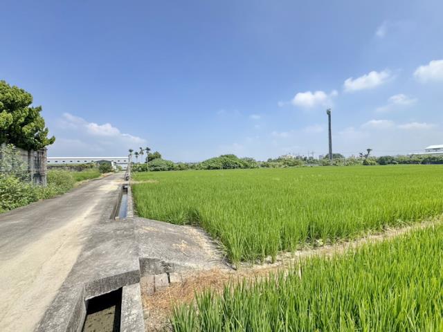 草屯農地-4