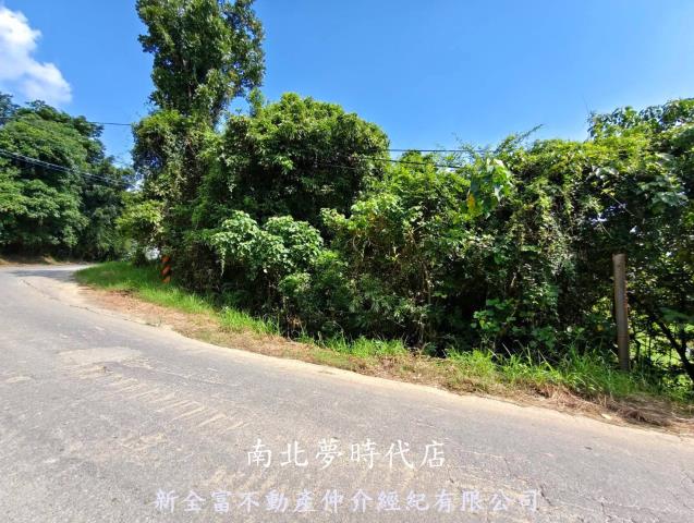 關廟農地_林地-10