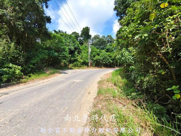 關廟農地_林地-11