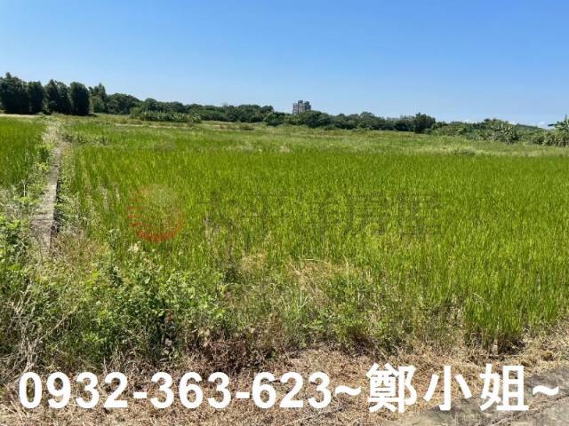 蘆竹農地-2