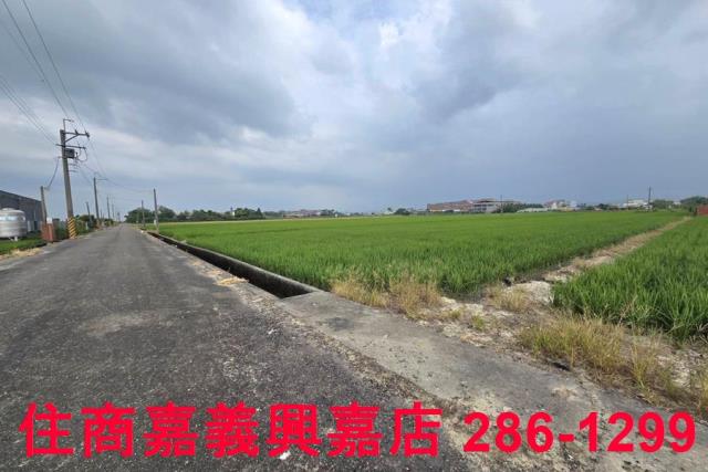 白河農地-1
