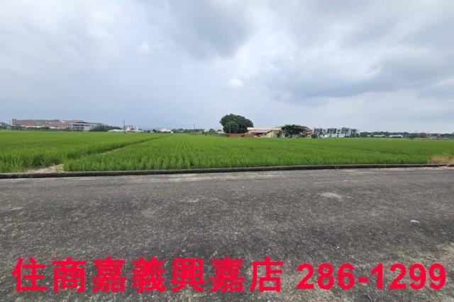 白河農地-3
