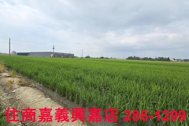 白河農地-4