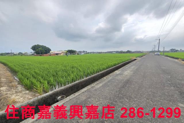 白河農地-6