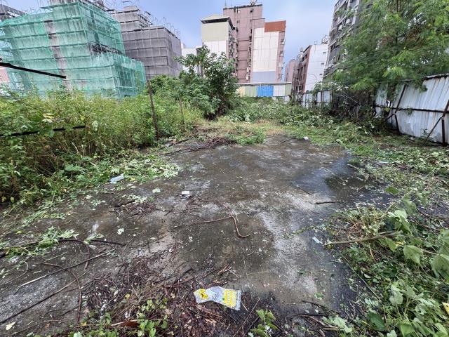 嘉義建地-2