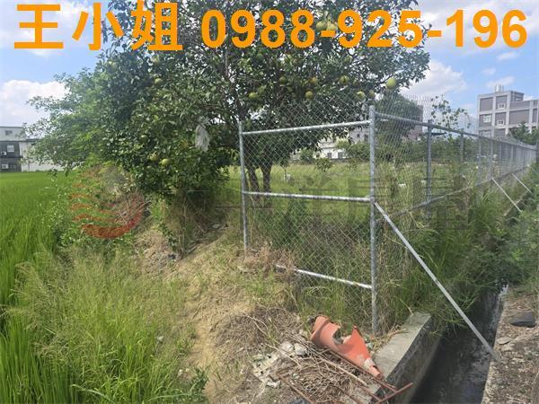 桃園農地-3