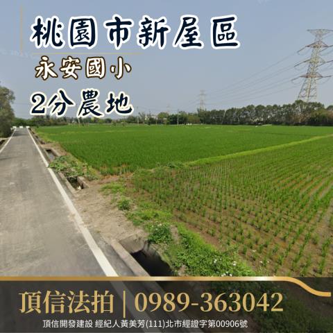 法拍桃園新屋永安國小2分農地