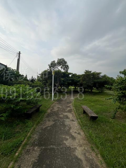 嘉義大林建地-8