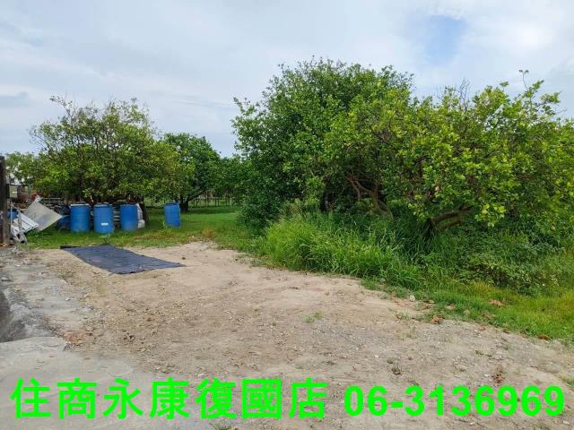 台南佳里農地-10