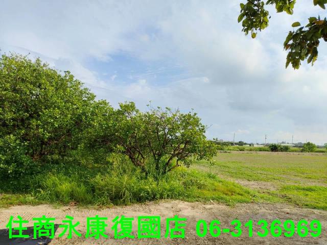 台南佳里農地-13