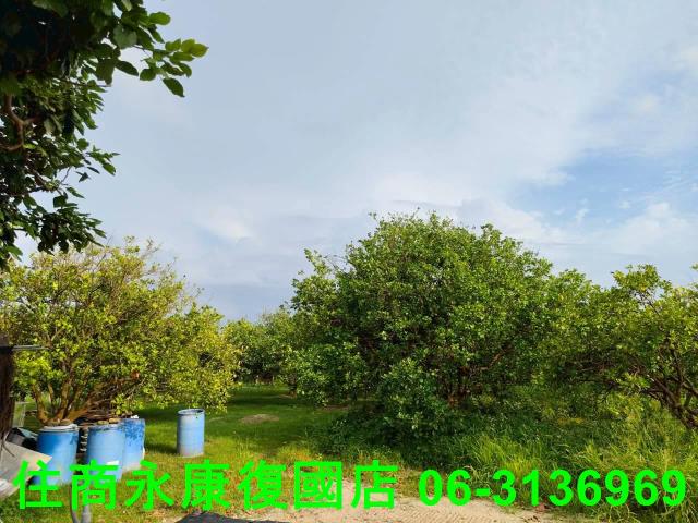 台南佳里農地-14