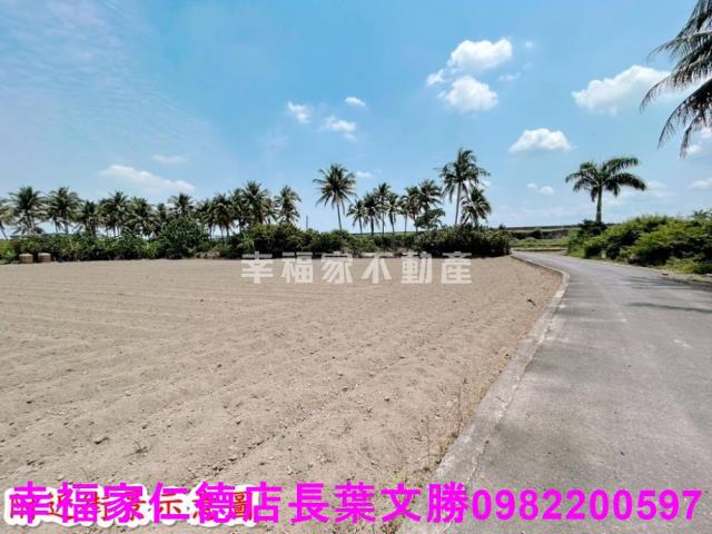 仁德農地-15