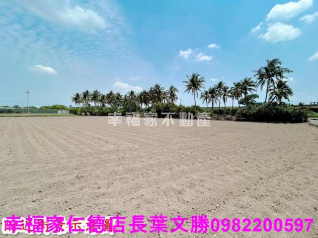 仁德農地-2