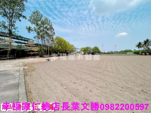 仁德農地-6