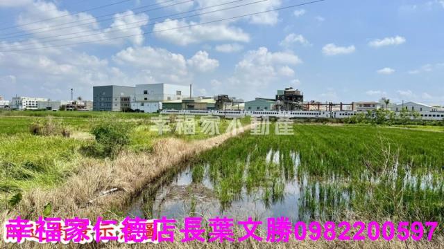 仁德農地-2