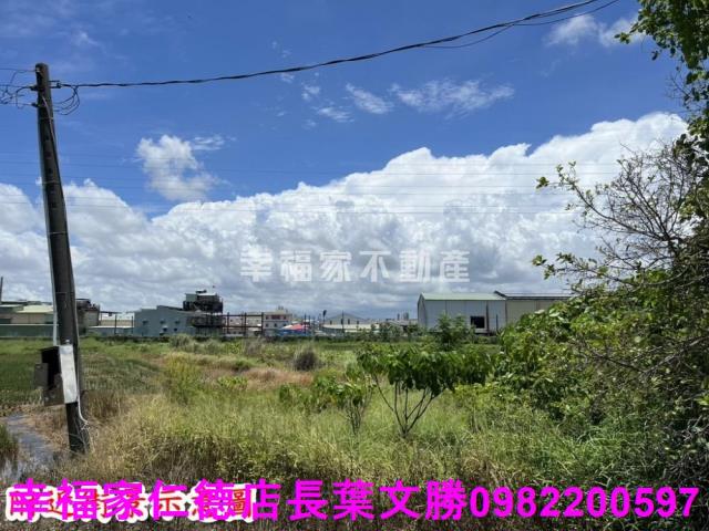 仁德農地-4