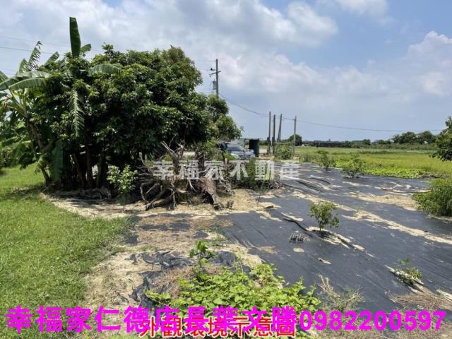 仁德農地-3