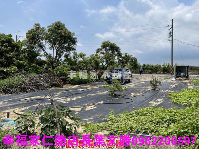 仁德農地-4