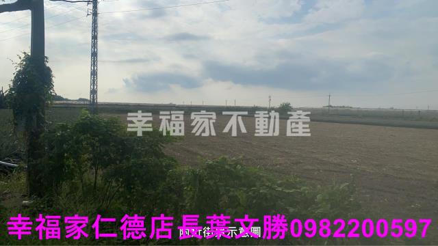新市農地-9