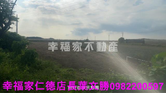 新市農地-11