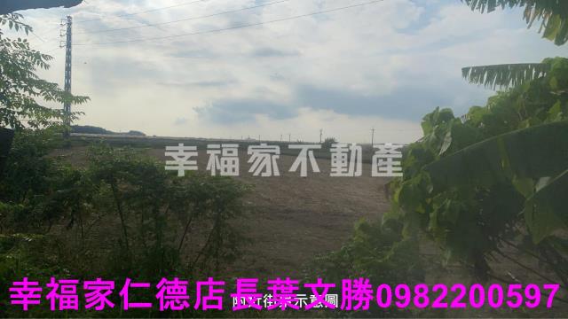 新市農地-12