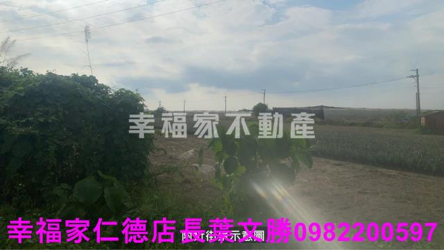 新市農地-4