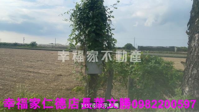 新市農地-6